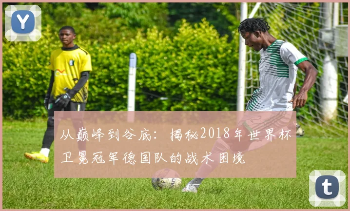 从巅峰到谷底：揭秘2018年世界杯卫冕冠军德国队的战术困境