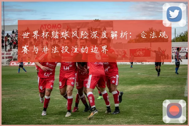 世界杯赌球风险深度解析：合法观赛与非法投注的边界
