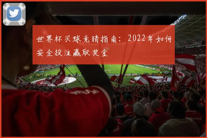 世界杯买球竞猜指南:2022年如何安全投注赢取奖金