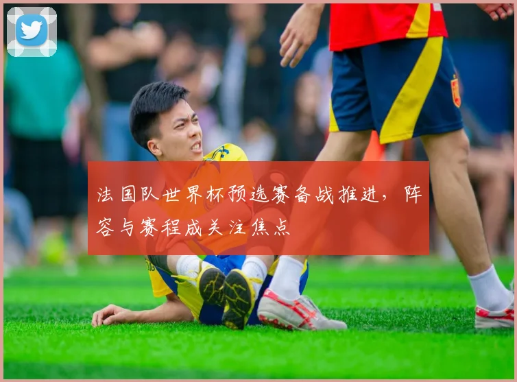 法国队世界杯预选赛备战推进,阵容与赛程成关注焦点