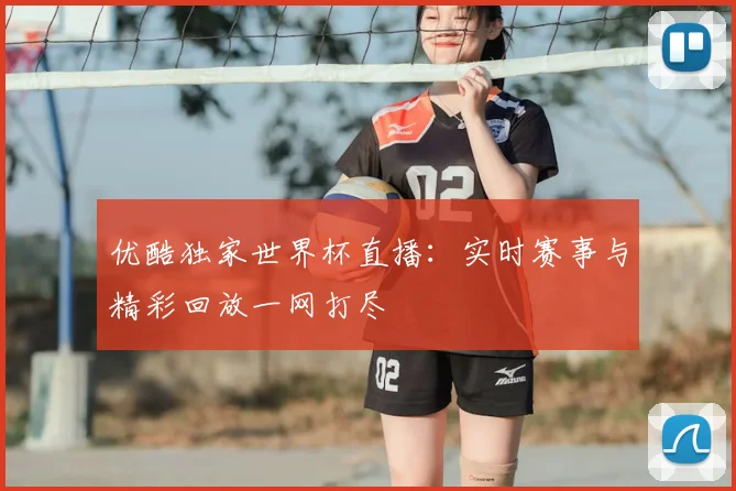 优酷独家世界杯直播:实时赛事与精彩回放一网打尽