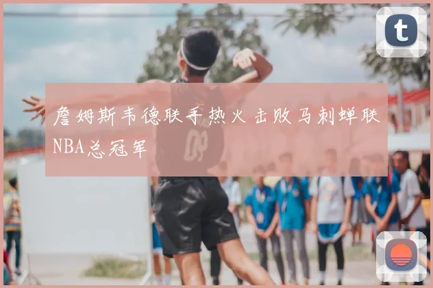 詹姆斯韦德联手热火击败马刺蝉联NBA总冠军
