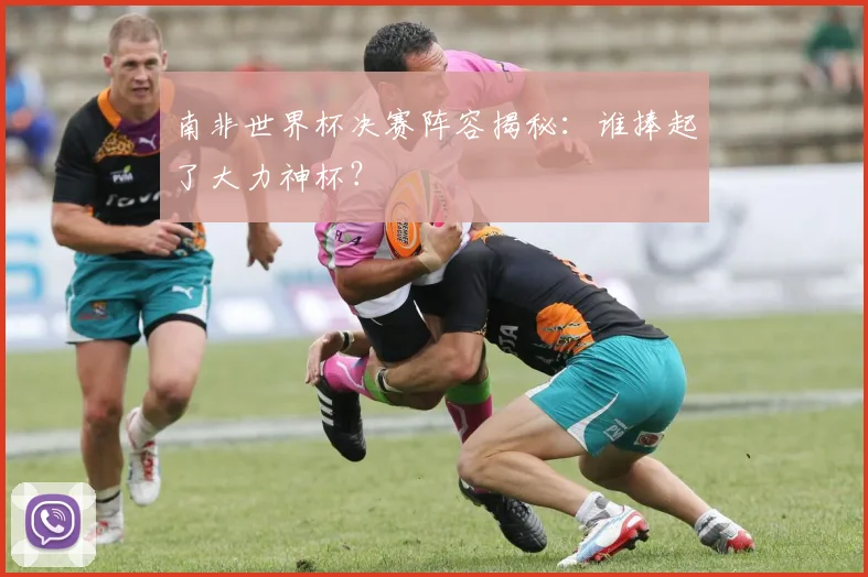 南非世界杯决赛阵容揭秘：谁捧起了大力神杯？