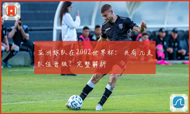 亚洲球队在2002世界杯:共有几支队伍晋级?完整解析