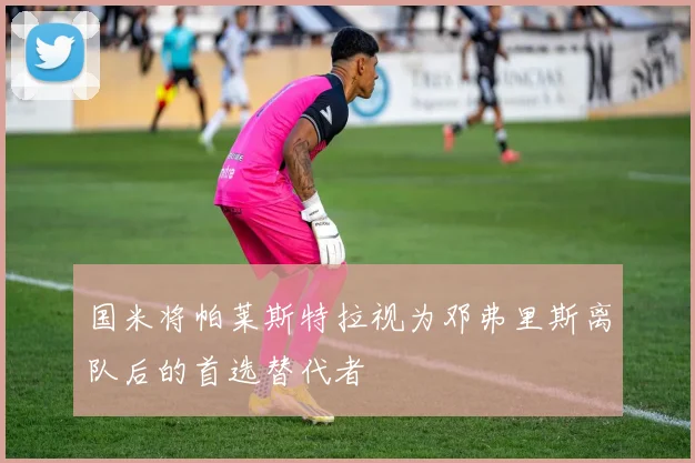 国米将帕莱斯特拉视为邓弗里斯离队后的首选替代者