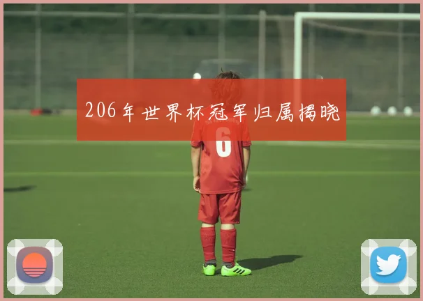 206年世界杯冠军归属揭晓